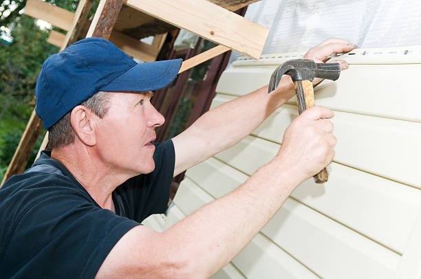 Best Custom Siding Design  in Normandy, MO